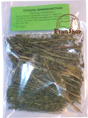   / Artemisia tanacetifolia L.