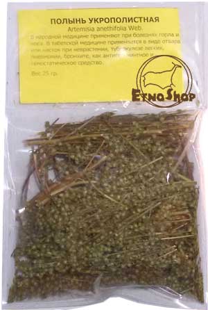  / Artemisia anethifolia Web.