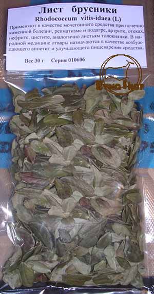 Листья брусники, брусничник, брусница, родококкум, уулах отон (Vaccinium vitis-idaea L.)