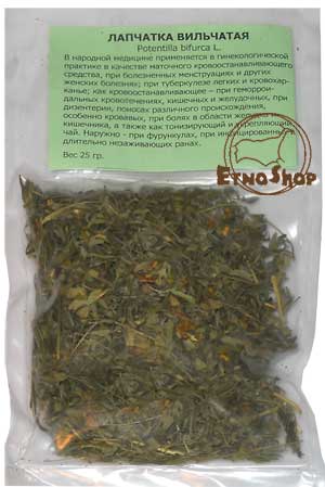 �������� ���������, �������� ������������, ���������������� ��������� / Potentilla bifurca L.