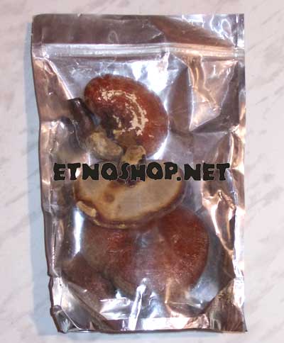  \ Ganoderma Lucidum. ,  , -,  , -, ,  ,  .        ,             .